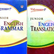 junior english grammar and translation