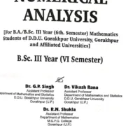 Numerical Analysic Writer Page.