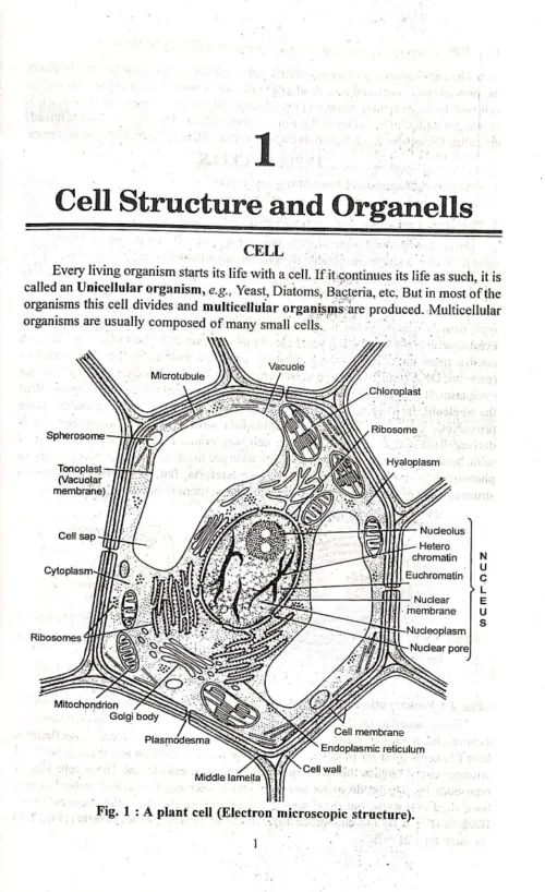 botany 6sem. chapter 1st.